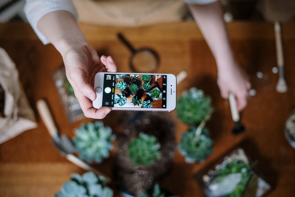 Recherche du titre A Garden Variety Mystery sur appareils connectés