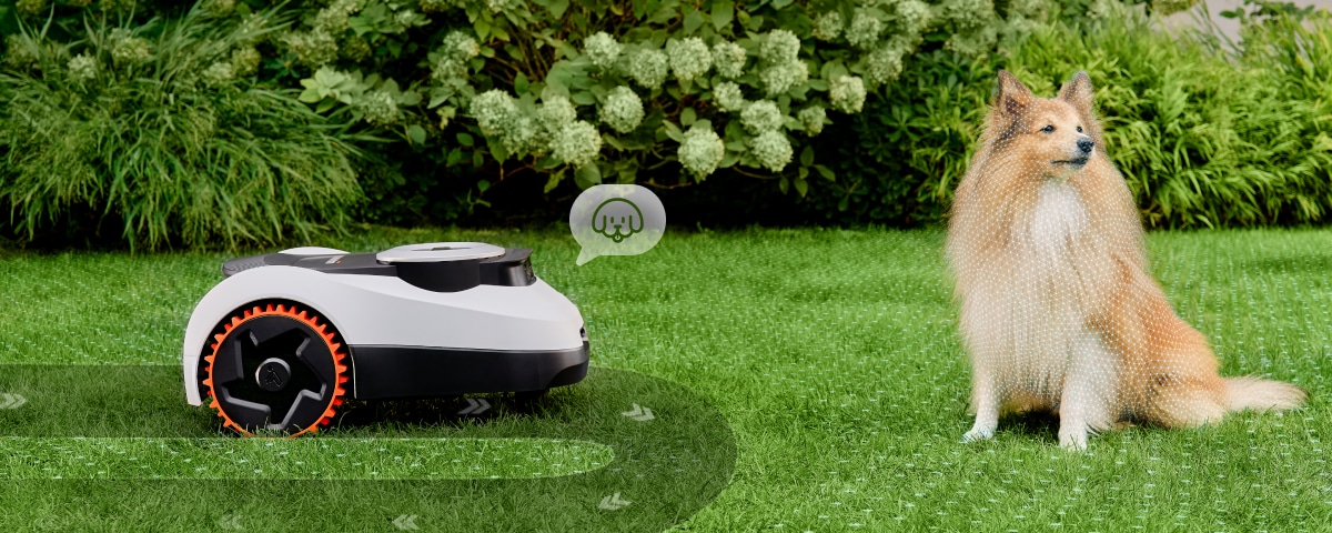 La détection des obstacles aide le robot à se déplacer dans le jardin La détection des obstacles aide le robot à se déplacer dans le jardin